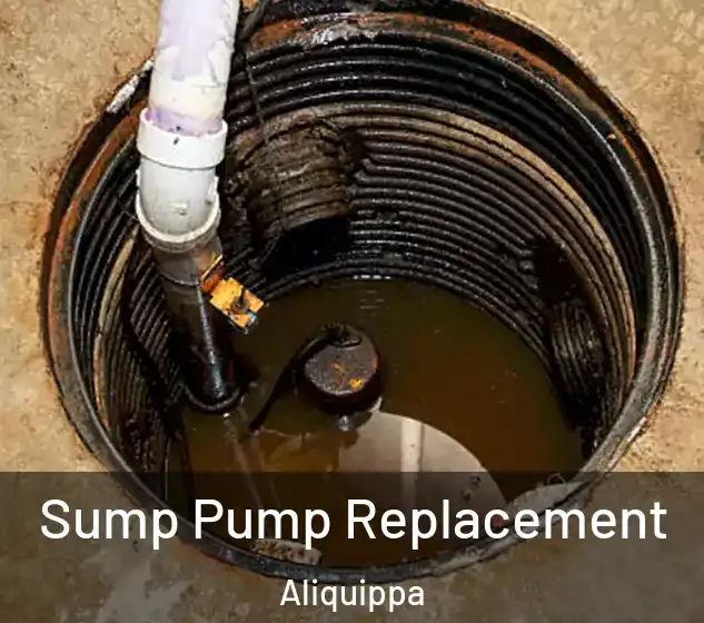  Sump Pump Replacement Aliquippa