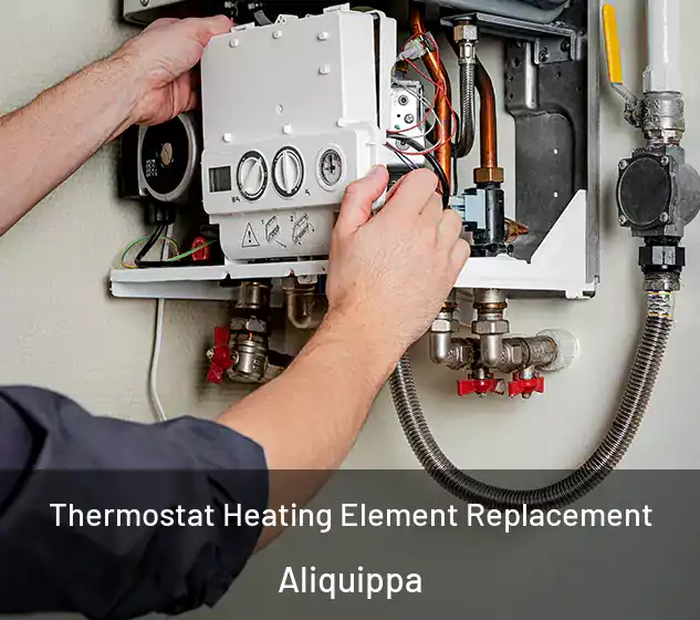  Thermostat Heating Element Replacement Aliquippa