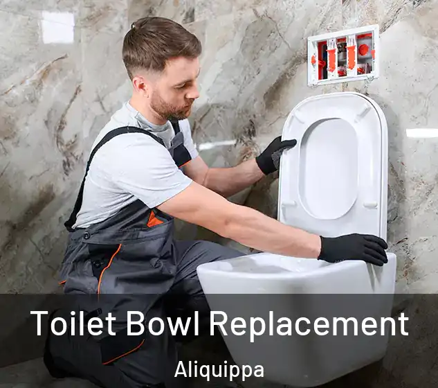  Toilet Bowl Replacement Aliquippa