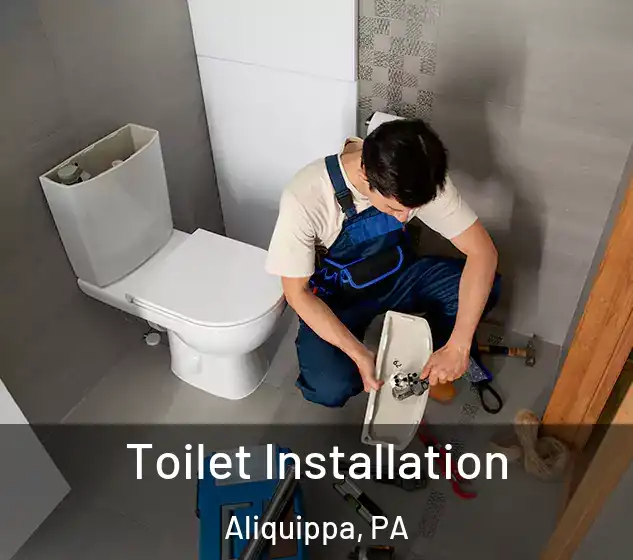  Toilet Installation Aliquippa, PA