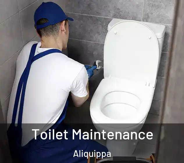  Toilet Maintenance Aliquippa