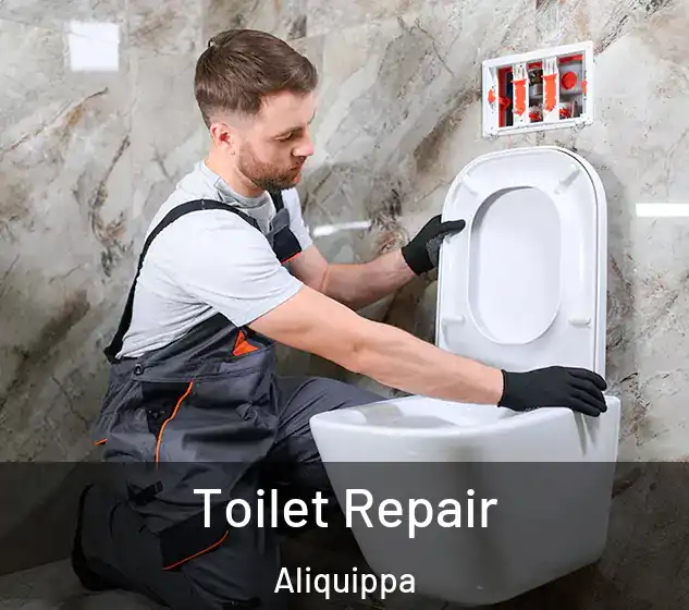  Toilet Repair Aliquippa