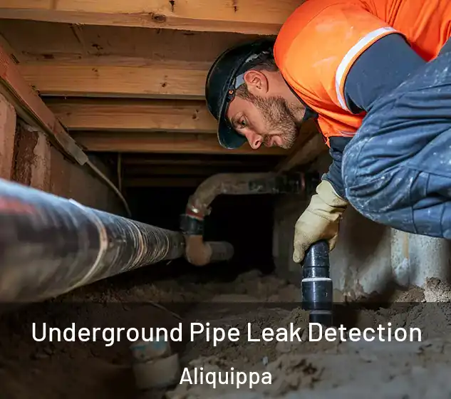  Underground Pipe Leak Detection Aliquippa