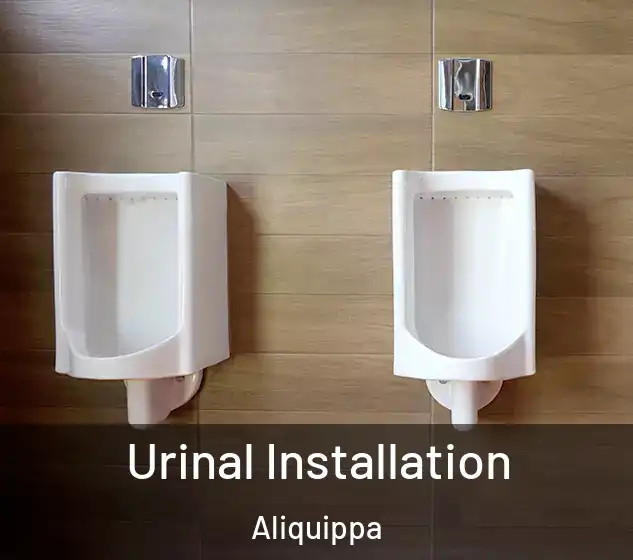  Urinal Installation Aliquippa