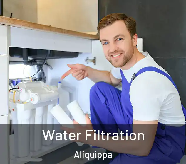  Water Filtration Aliquippa