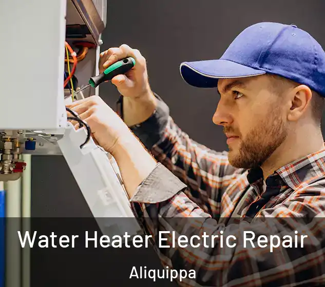  Water Heater Electric Repair Aliquippa