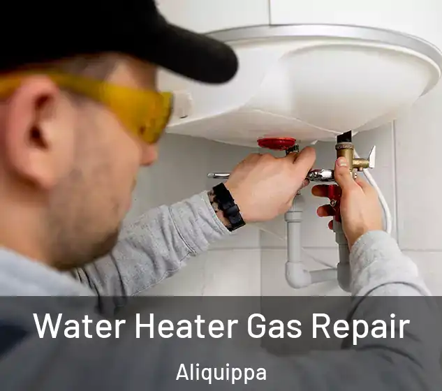  Water Heater Gas Repair Aliquippa