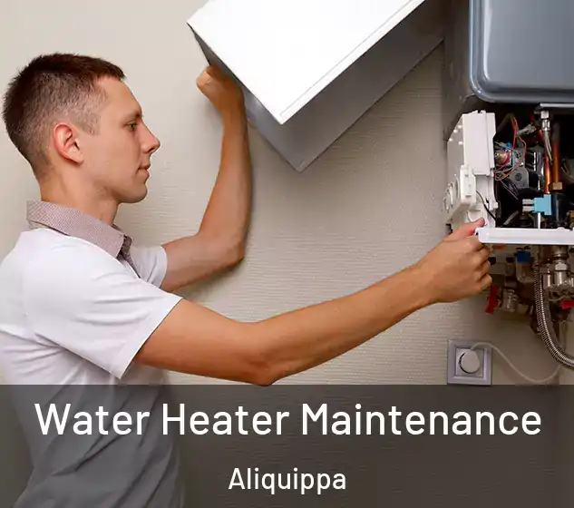  Water Heater Maintenance Aliquippa