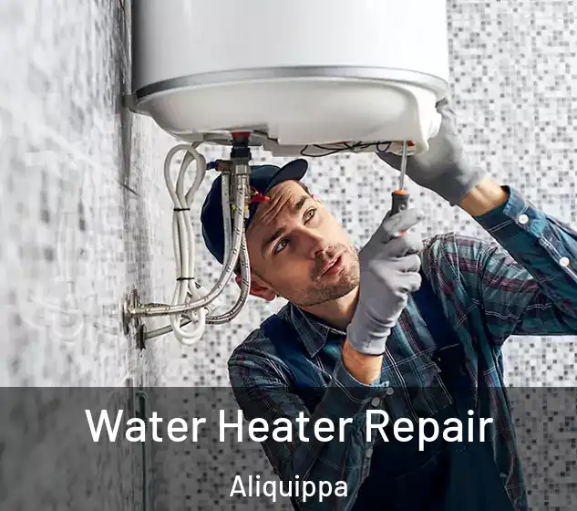  Water Heater Repair Aliquippa