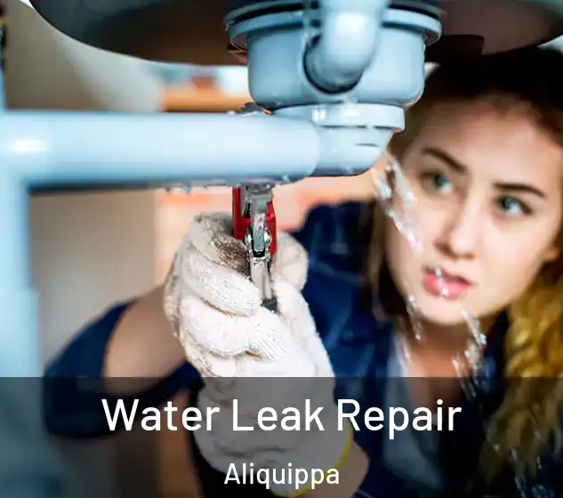  Water Leak Repair Aliquippa
