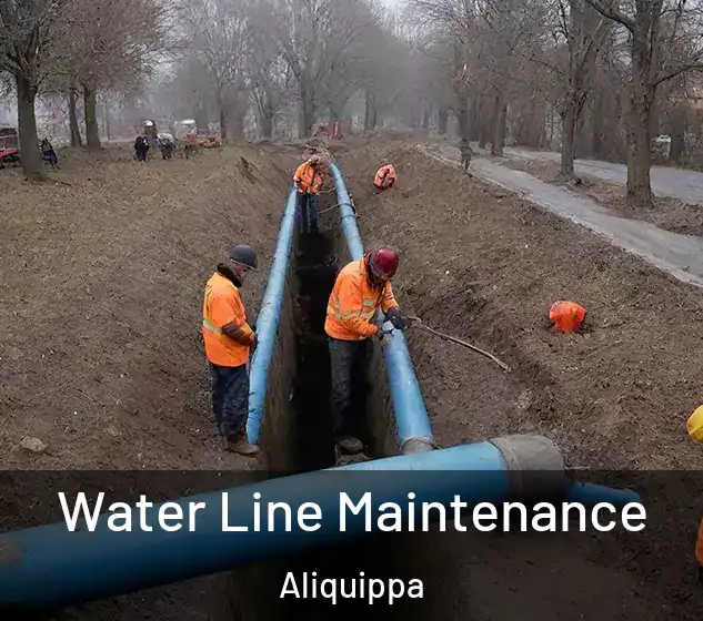  Water Line Maintenance Aliquippa