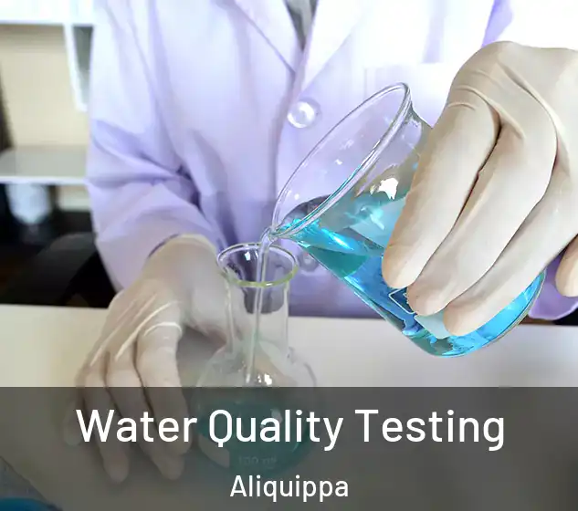  Water Quality Testing Aliquippa