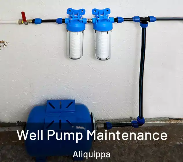  Well Pump Maintenance Aliquippa