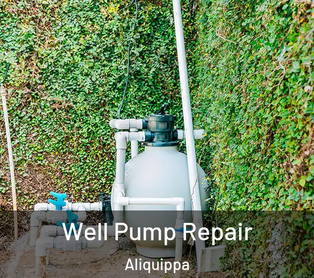  Well Pump Repair Aliquippa
