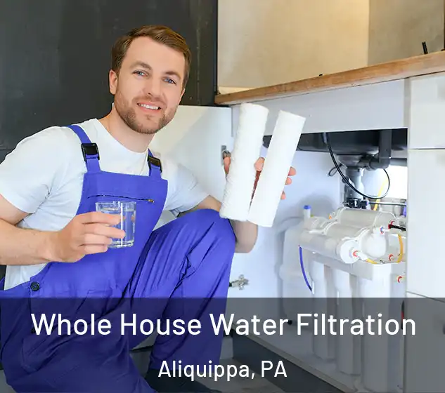  Whole House Water Filtration Aliquippa, PA