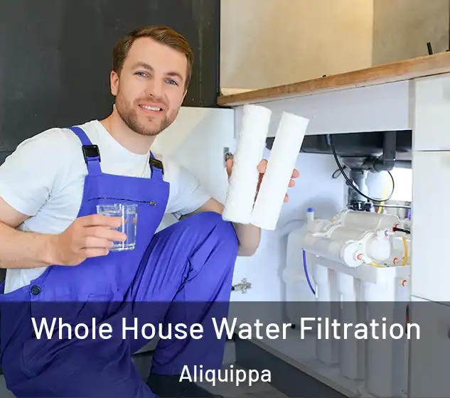  Whole House Water Filtration Aliquippa